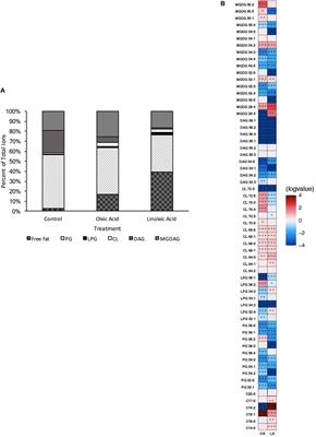 Enterococcus faecalis Readily Adapts Membrane Phospholipid Composition to Environmental and Genetic Perturbation